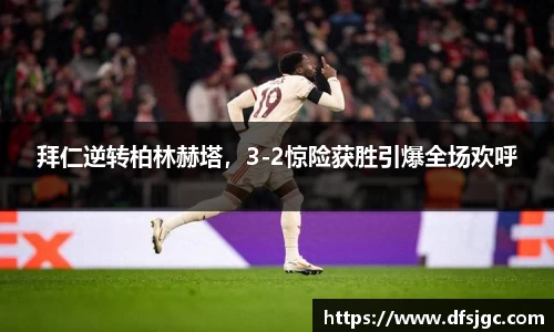 mk体育官网